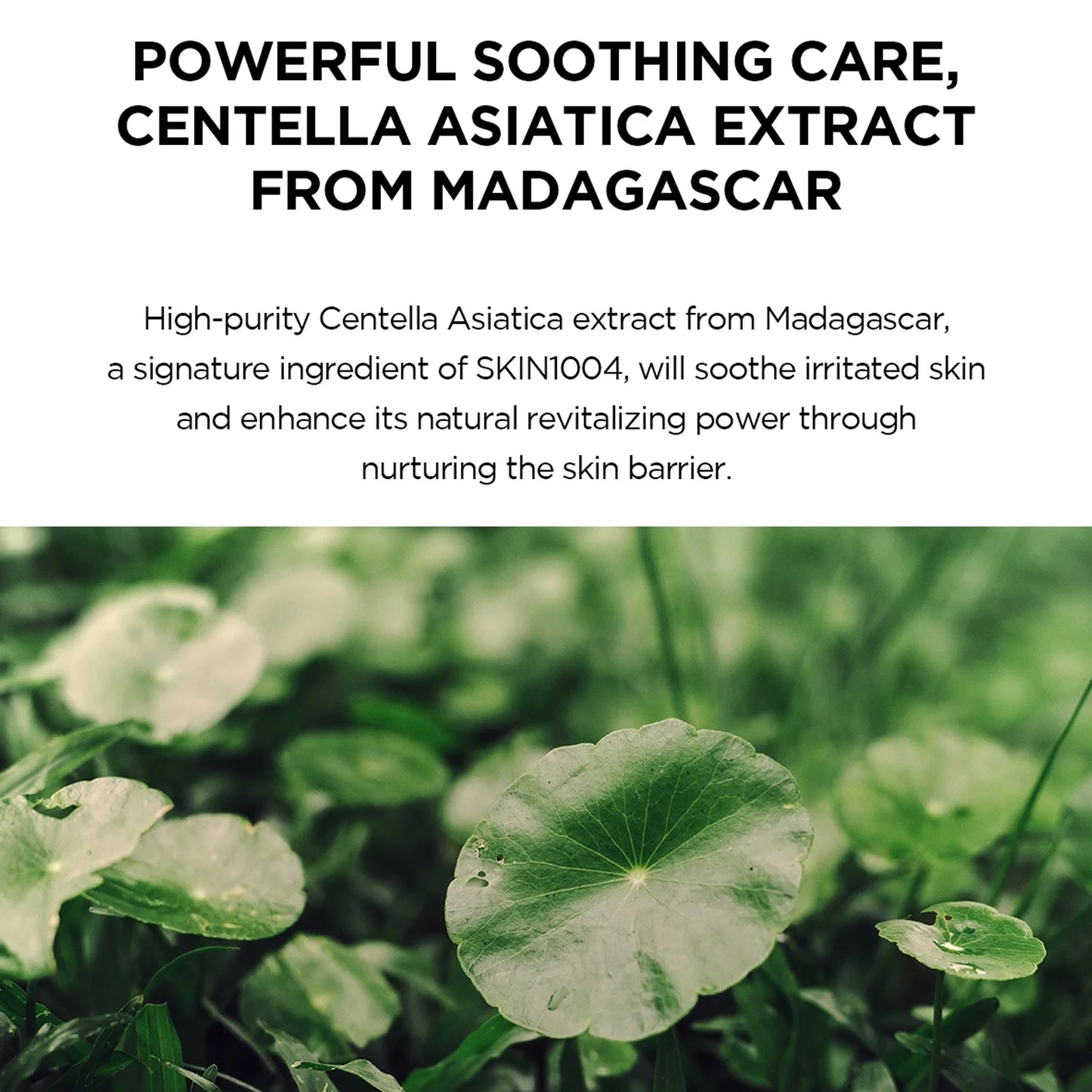 Skin1004 Madagascar Centella Hyalu-Cica Water-Fit Sun Serum 50 мл SPF50+ PA++++ – корейски слънцезащитен серум с центела и хиалурон