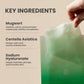 AXIS-Y 61% Mugwort Green Vital Energy Complex Sheet Mask – успокояваща и хидратираща шийт маска